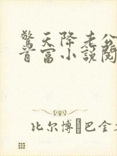 惊天降老公竟是首富小说阅读免费