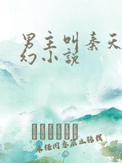 男主叫秦天的玄幻小说