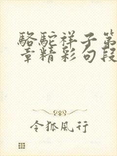 骆驼祥子第十九章精彩句段