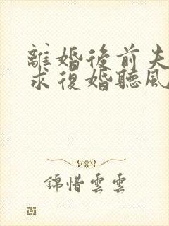 离婚后前夫哭着求复婚听风说雾正版