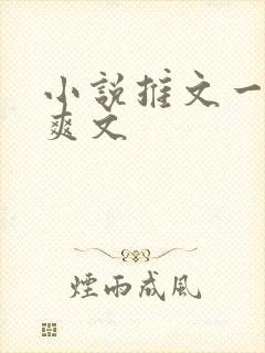 小说推文一口气爽文