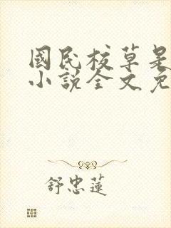 国民校草是女生小说全文免费阅读