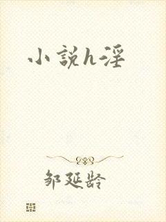小说h淫