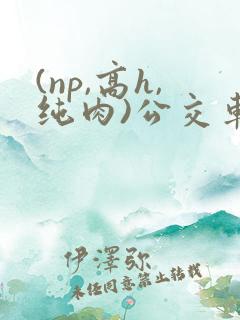 (np,高h,纯肉)公交车