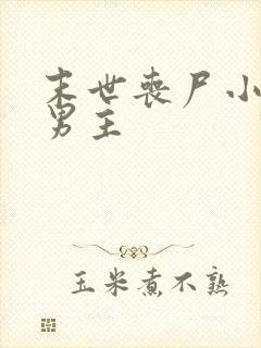 末世丧尸小说双男主