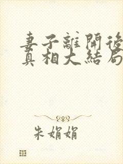 妻子离开后发现真相大结局