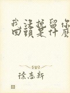 我没挽留你也没回头是什么歌