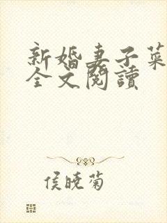 新婚妻子菜老板全文阅读