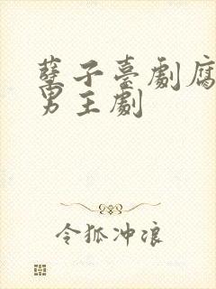 孽子台剧腐剧双男主剧