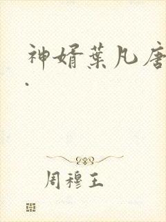 神婿叶凡唐若雪.