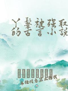 丫鬟被强取豪夺的古言小说