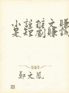 小说推文赚钱还是短剧赚钱