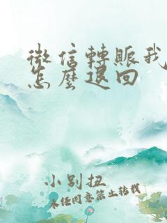 微信转账我不收怎么退回