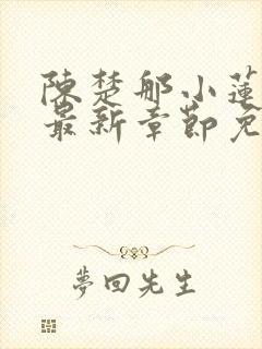 陈楚那小莲小说最新章节免费阅读