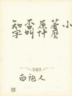 知否原著小说名字叫什么