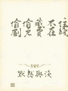 偷偷藏不住电视剧免费在线看