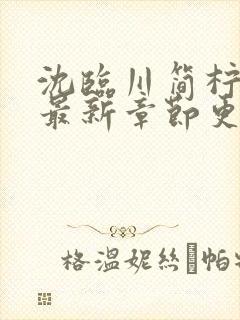 沈临川简柠小说最新章节更新内容免费阅读