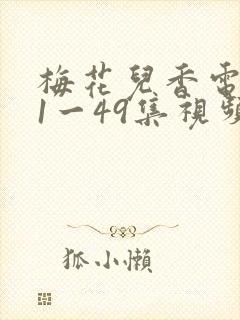 梅花儿香电视剧1一49集视频