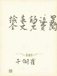 捡来的流星by全文免费阅读笔趣阁