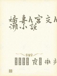 娇妻h宫交h高潮小说