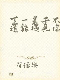 下一辈子不一定还能遇见你歌词