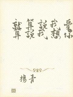 就算说我爱你就算说我想你是什么歌