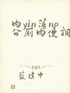 肉yin荡np公厕肉便调教小说