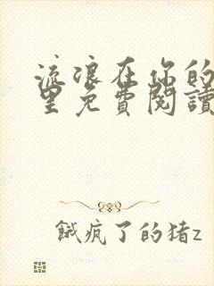 流浪在你的时光里免费阅读