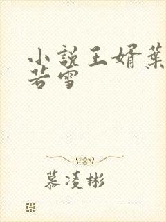 小说王婿叶凡唐若雪