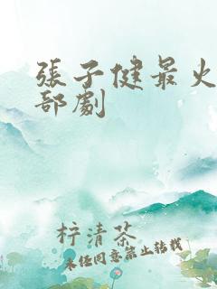 张子健最火的三部剧