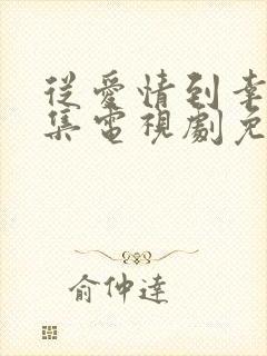 从爱情到幸福全集电视剧免费观看