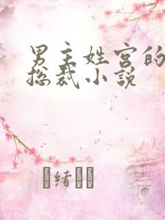 男主姓宫的现代总裁小说