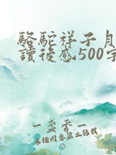 骆驼祥子月牙儿读后感500字