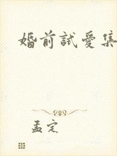 婚前试爱集合