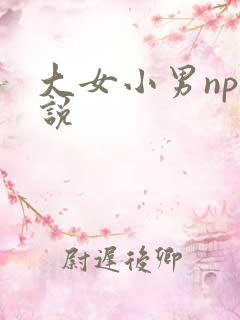 大女小男np小说