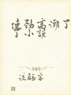 使劲高潮了快喷了小说