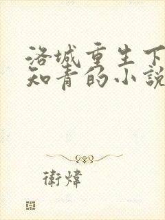 洛城重生下乡当知青的小说叫什么