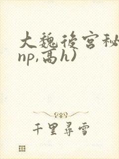 大魏后宫秘史(np,高h)