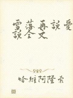 雪落再说爱你小说全文