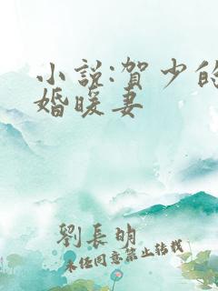 小说:贺少的闪婚暖妻