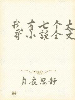 我有七个大佬哥哥小说全文免费