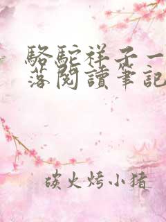 骆驼祥子一起一落阅读笔记