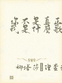 你不是真正的爱我是什么歌