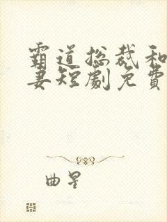 霸道总裁和小娇妻短剧免费观看全集