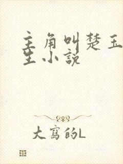 主角叫楚玉的重生小说