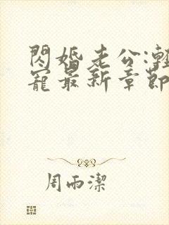 闪婚老公:轻点宠最新章节目录