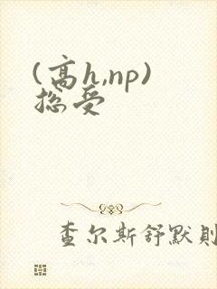 (高h,np)总受