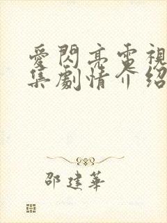 爱闪亮电视剧分集剧情介绍