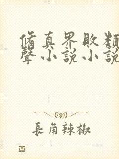 修真界败类 有声小说小说