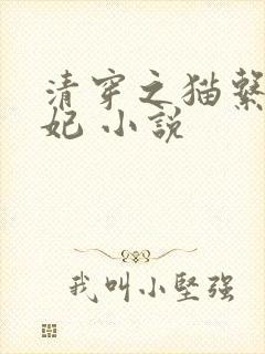 清穿之猫系太子妃 小说